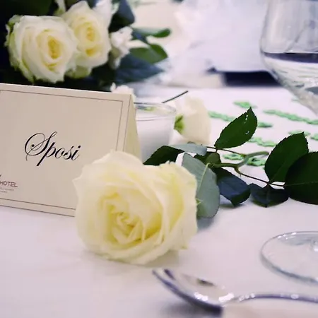 爱尔酒店 酒店 雷焦卡拉布里亚